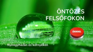 Öntözés felsőfokon Nyíregyházán és környékén