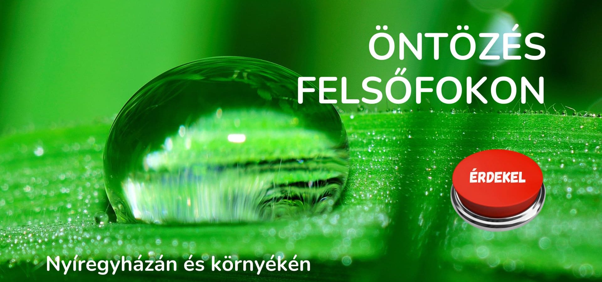 Öntözés felsőfokon Nyíregyházán és környékén